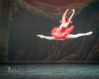 Evelīna Godunova dejo Padedē 