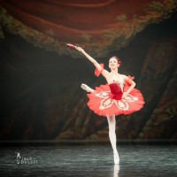 Evelīna Godunova dejo Padedē baleta “Dons Kihots” 