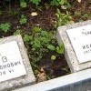 Graves of Soviet soldiers 