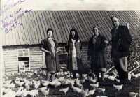 Работа на птичнике. Наталия - первая слева. 1955 год