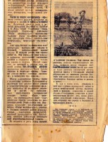 Skola Juglā_2