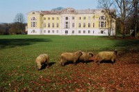 The palace and park ensemble in Mežotne