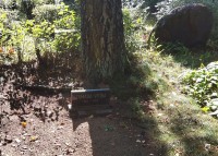 Место захоронения Тамары Витини на кладбище Райниса